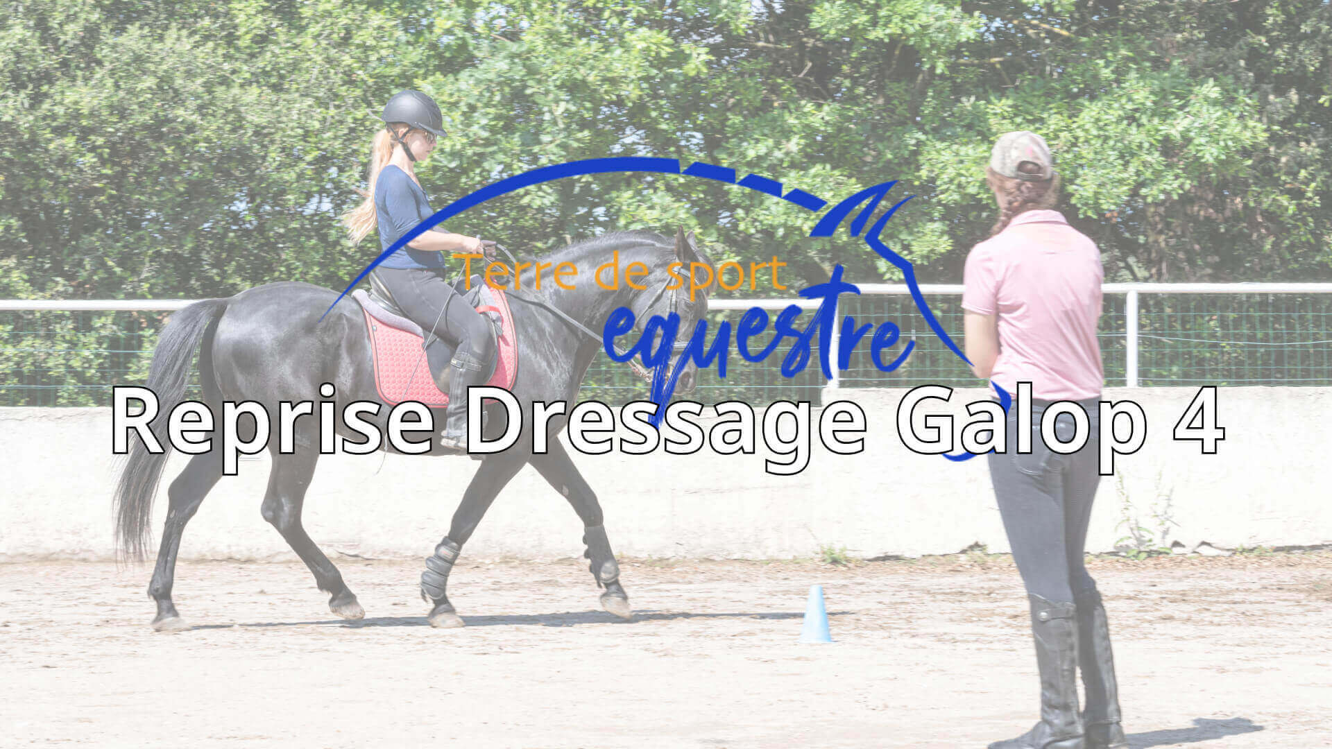 Reprise dressage galop 4