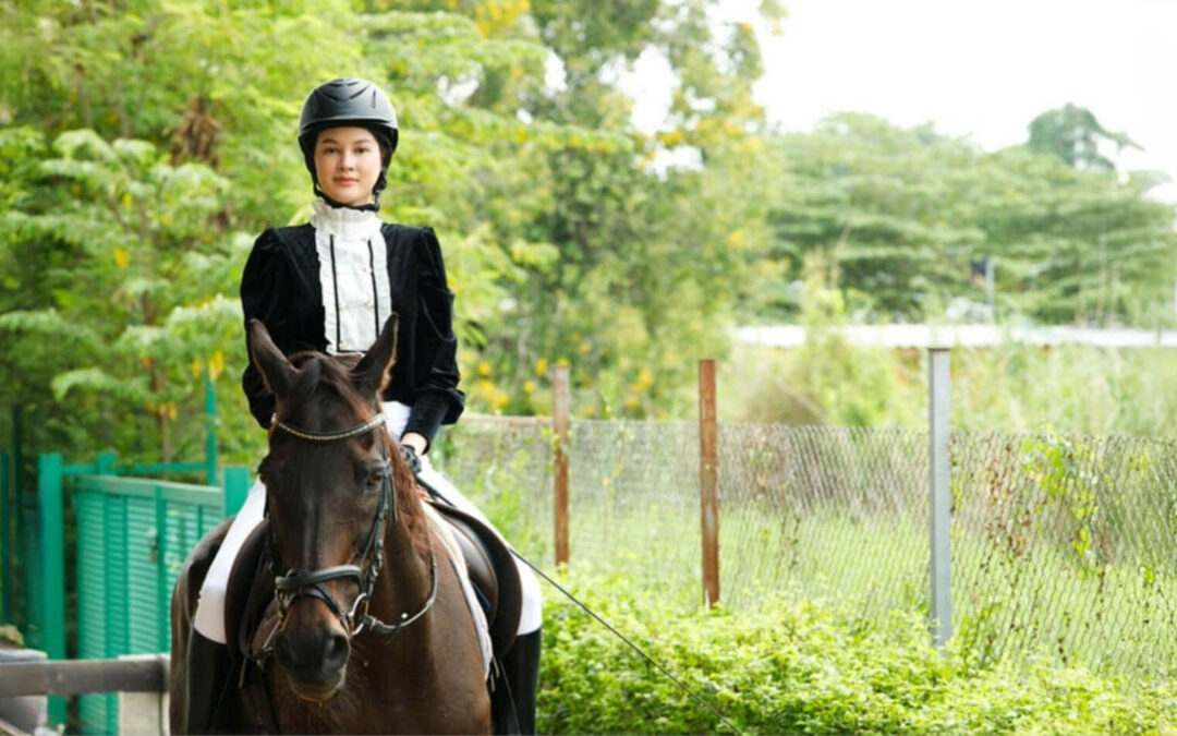Le cheval n’est pas le problème