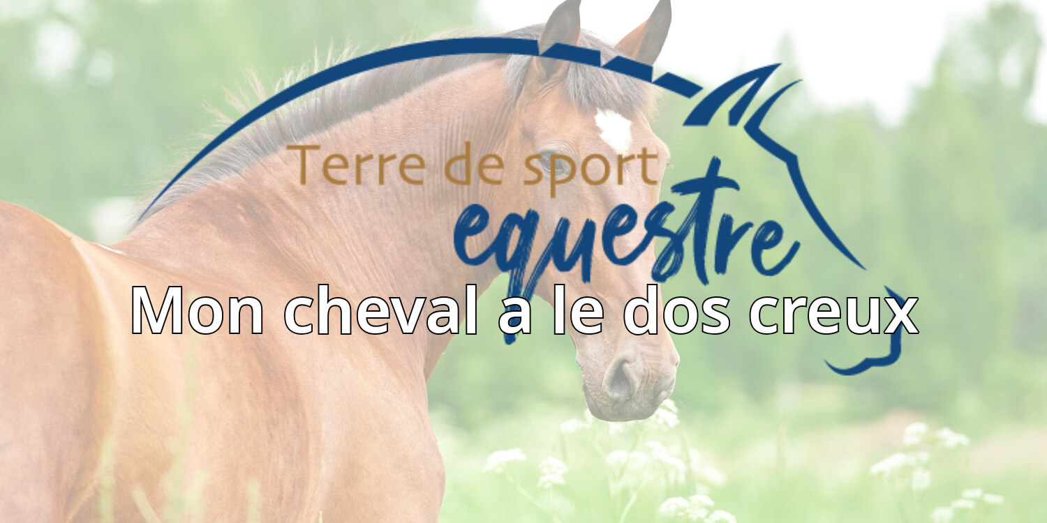 travail du cheval à pied