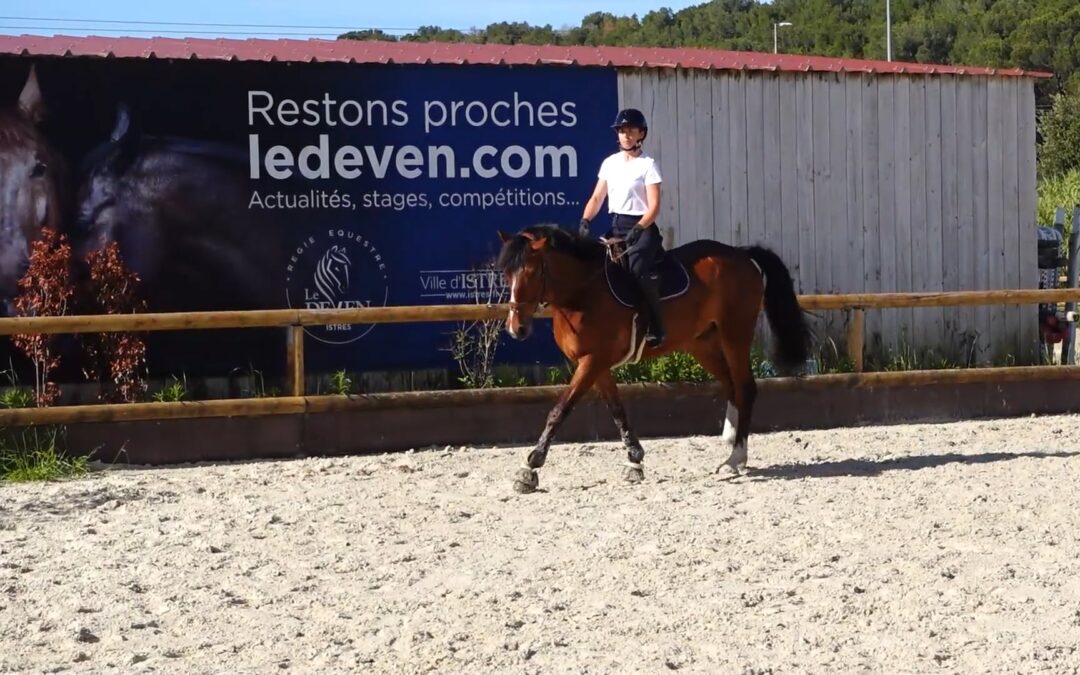 Incurvation : Un exercice pour ployer son cheval en contrôlant les épaules