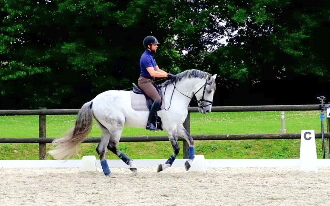 LE GALOP : Allure de tous les plaisirs, et de tous les problèmes !