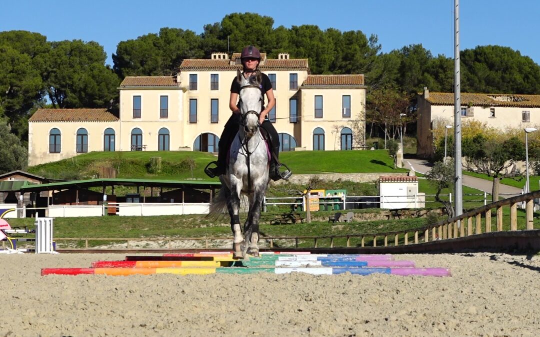 7 erreurs que l’on répète à cheval pendant des années