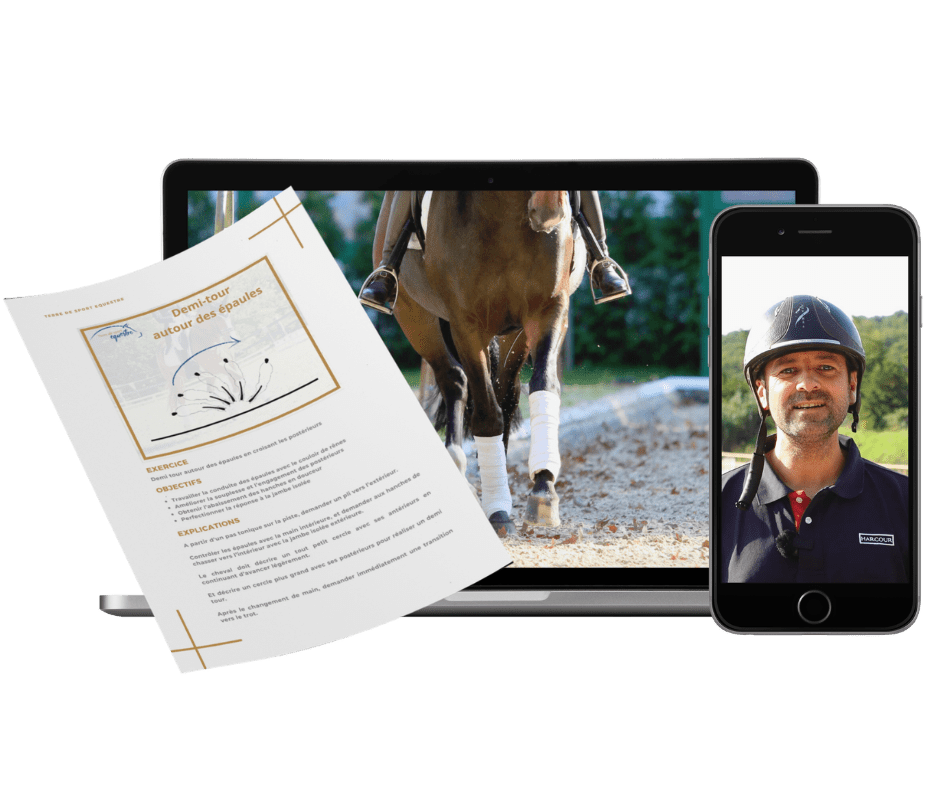 Comment améliorer l’équilibre de mon cheval (6)