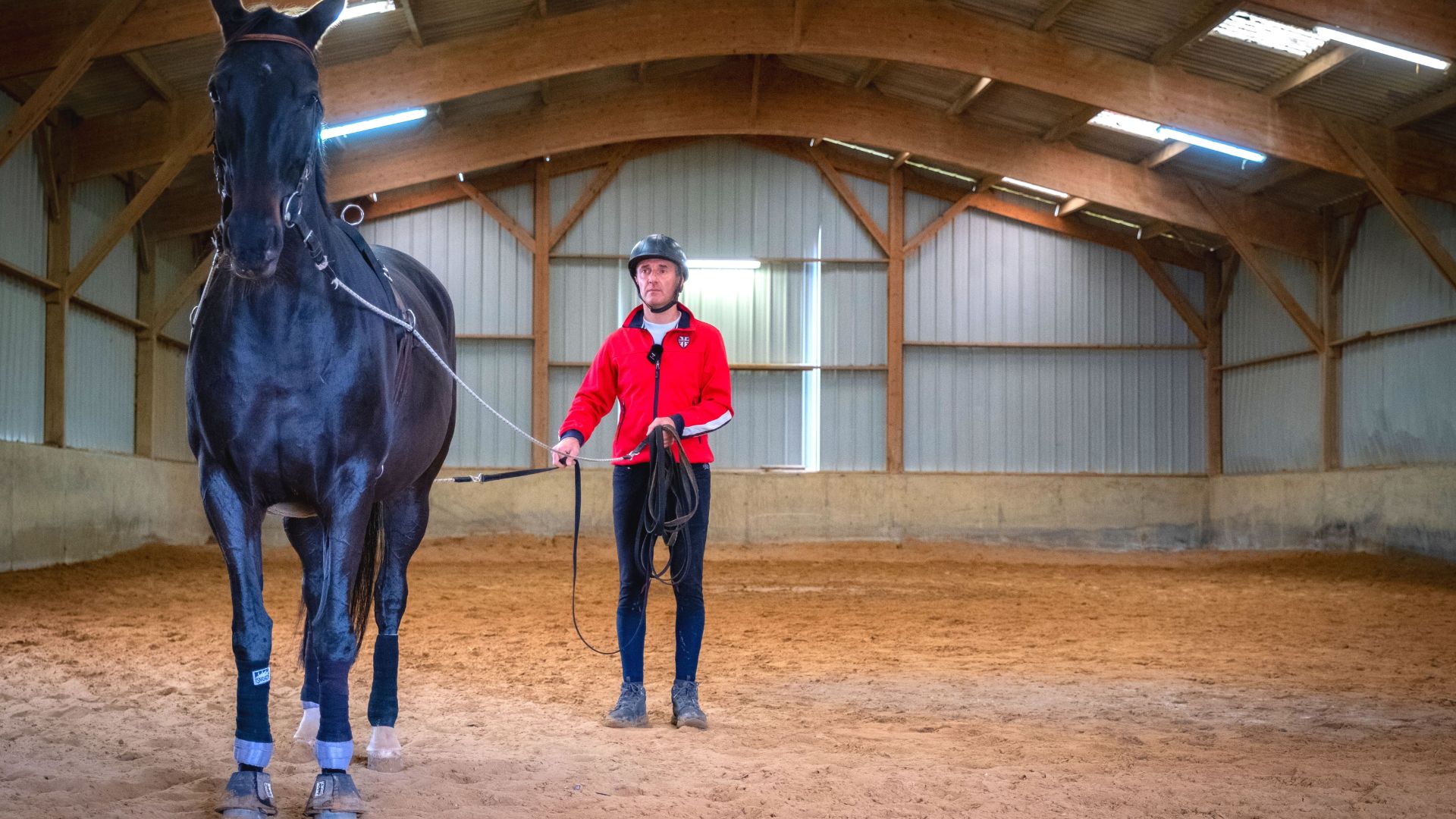 distance saut de puce