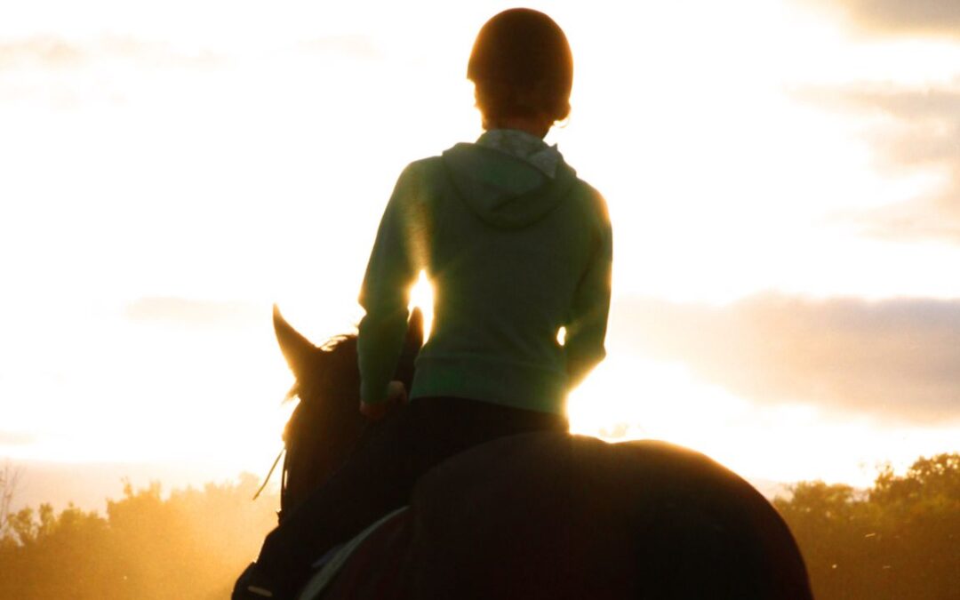 Les 3 piliers de l’équitation