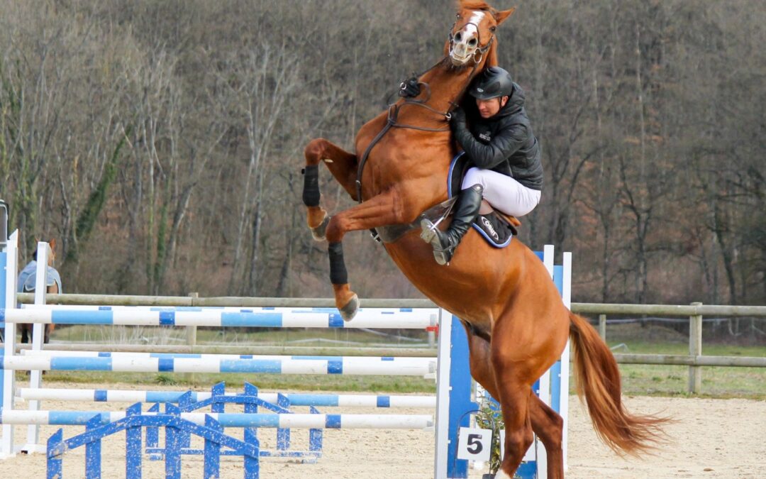5 signes que votre cheval souffre à l’obstacle