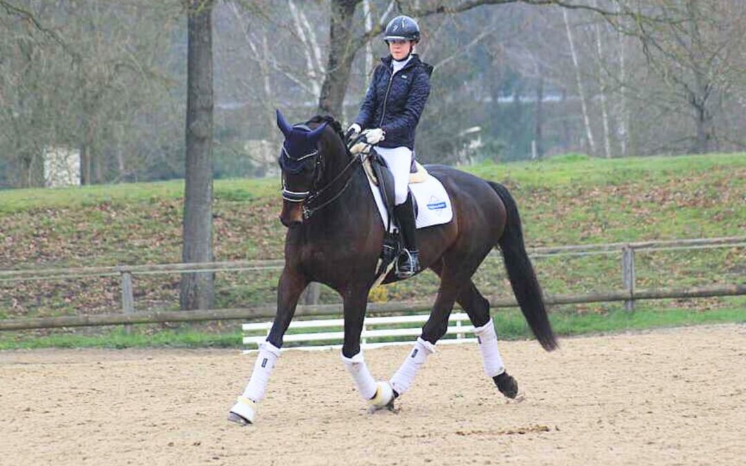 Comment muscler l’arrière main de son cheval