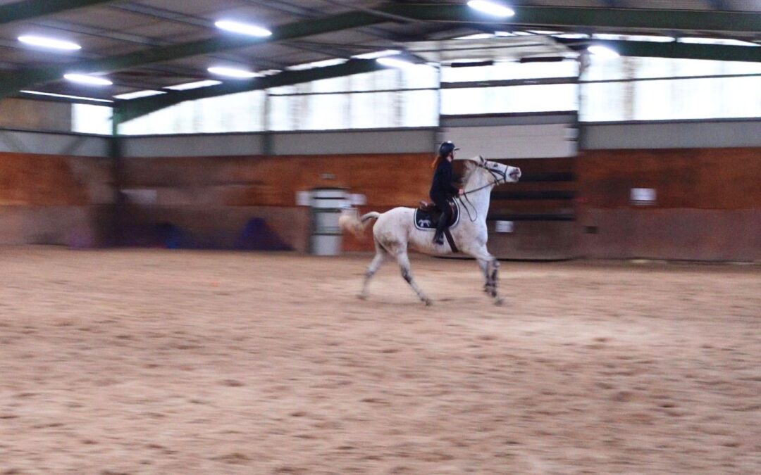 7 signes que votre cheval a mal au dos