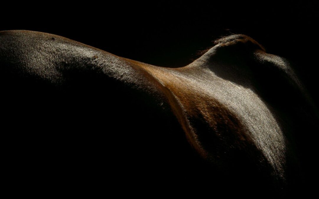 5 signes que le dos de votre cheval manque de muscle
